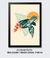 Quadro Decorativo Geométrico Triângulo Tartaruga na internet