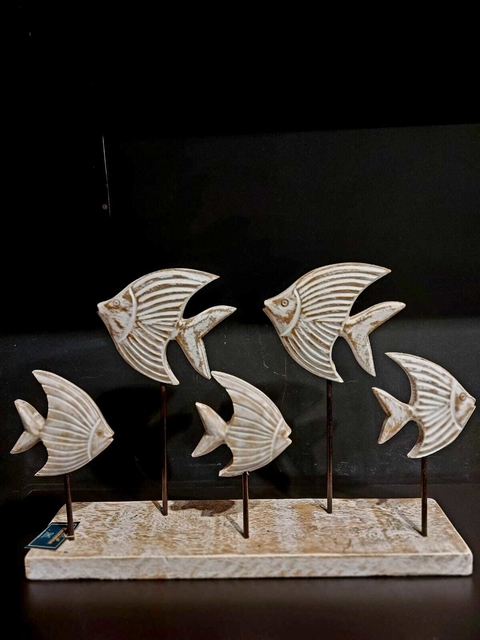 Cardume de Peixes - Tiradentes, MG
