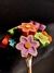 Flores em Madeira - Tiradentes, MG