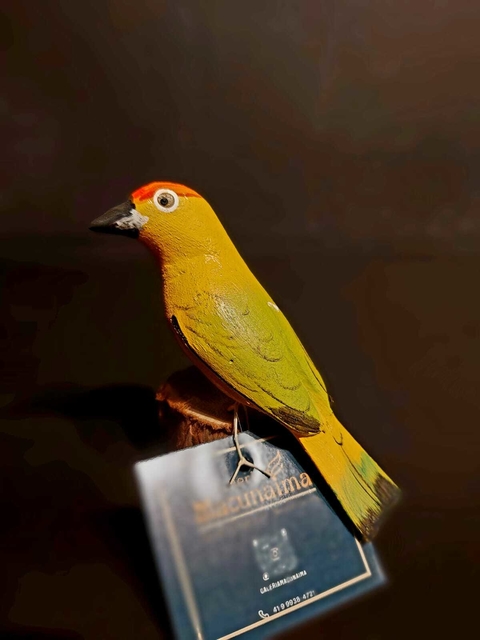 Pássaro em madeira - Tiradentes, MG