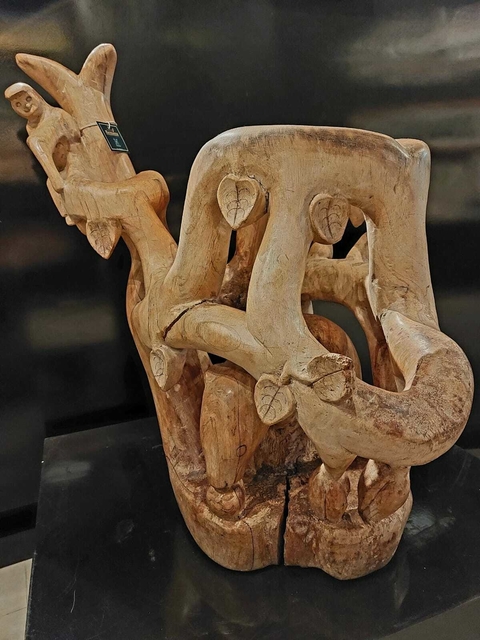 Árvore - Miramar Borges