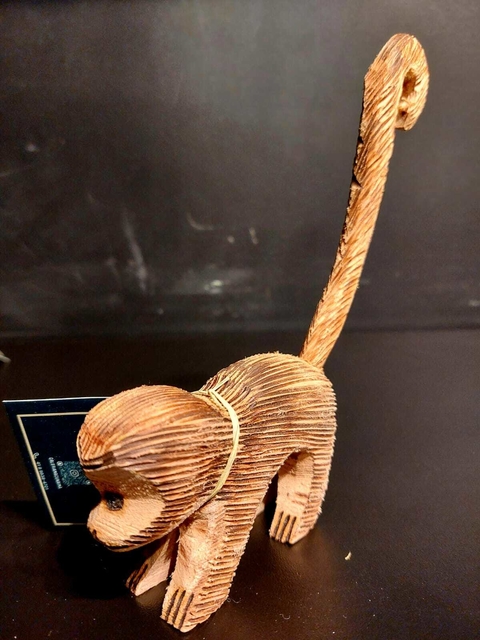 Macaquinho - Terena, MS