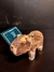 Capivara - Terena, MS - comprar online