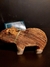 Capivara - Terena, MS na internet
