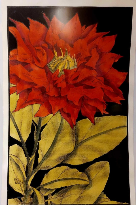 Gravura - Flor Vermelha