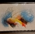 Pintura Colorida - Rodolir Krambeck