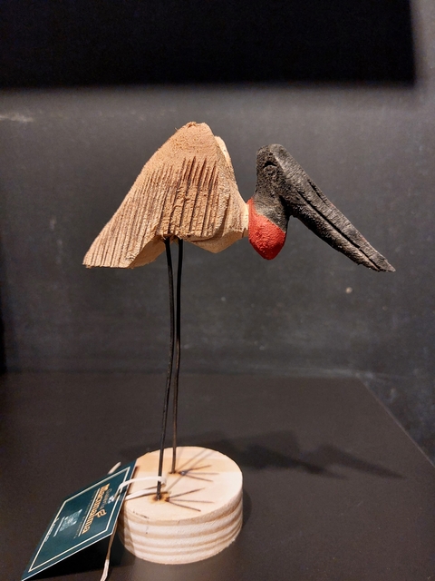 Tuiuiú - Terena, MS
