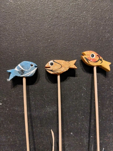 Mini remo peixes - Paraty, RJ