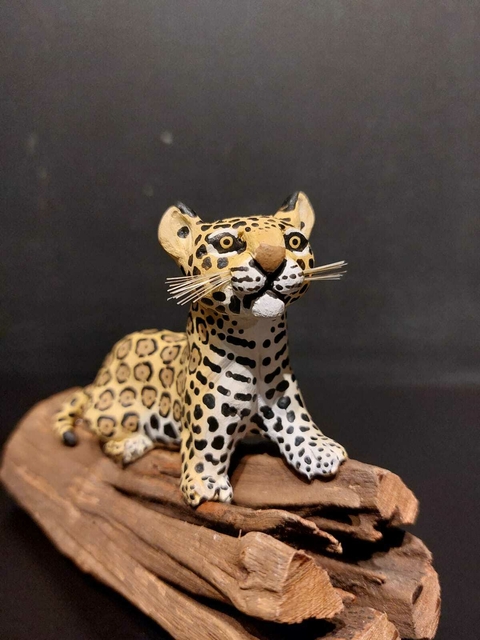 Onça tamanho M - Mato Grosso do Sul