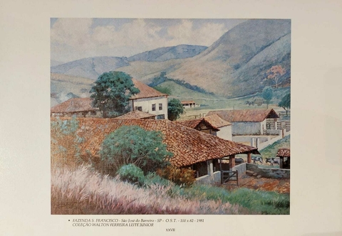 Fazenda S. Francisco - Armando Vianna 1981