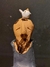Mini São Francisco na internet