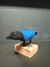 Gralha Azul - Feltragem - comprar online