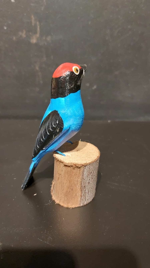 Pássaro de madeira