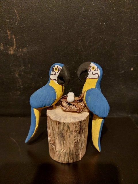 Casal de Arara Canindé - Mato Grosso do Sul