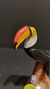 Tucano - Mato Grosso do Sul - comprar online