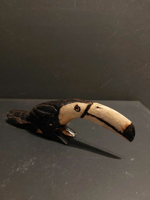 Vichuranga, Guarani - Tucano