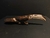 Vichuranga, Guarani - Tucano - comprar online
