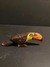 Guarani, Vichuranga - Tucano pintado P - comprar online