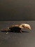 Guarani, Vichuranga - Tucano P - comprar online