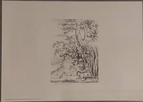 Katze und Vogel (reprodução) - D. Fernando de Saxe Coburgo-Gotha - comprar online