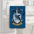 Imã geladeira Corvinal (Ravenclaw)