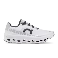 ON CLOUD MONSTER WHITE TALLA 29 CM G5