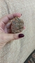 RODONITA - Pedra do magnetismo pessoal - Tam. M - comprar online
