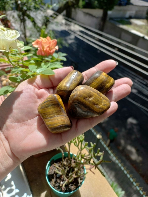 Olho de Tigre Rolado - Tamanho M