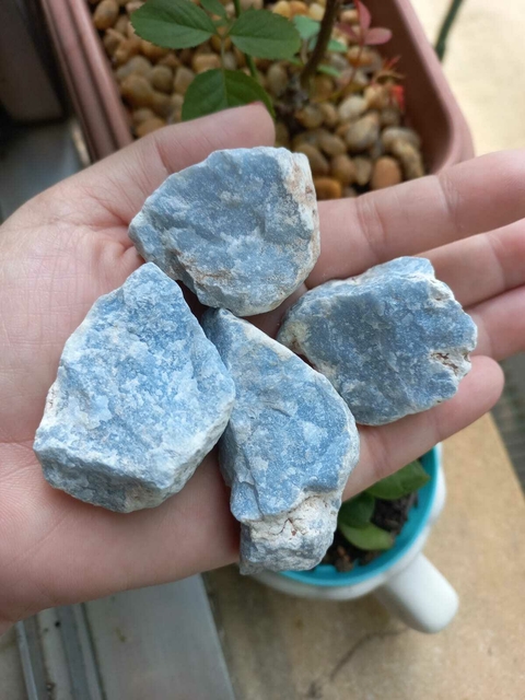 ANGELITA (BRUTA) - COMUNICAÇÃO E CONEXÃO ANGELICAL