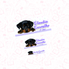 cachorrinho - R$ 79,80 / R$ 89,80 - comprar online