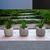 Pack X3 Plantas Artificiales en Maceta Cemento Cactus Suculenta - comprar online