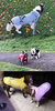 Roupas de cachorro de inverno adidog esporte hoodies camisolas casaco roupas que - ALACO