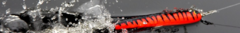 Banner da categoria Isca de Superfície