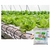 Fertilizante Cloreto De Cálcio 27%ca 3kg - Fertil Shop