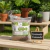 Adubo Fertilizante Flores E Plantas Npk 04 14 08 - Fertil Shop