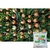 Fertilizante Cloreto de Calcio 27% Ca - Foliar 10kg
