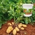 Adubo Fertilizante Gesso Agrícola Condicionador De Solo - 500g - loja online