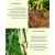 Fertilizante Foliar Induttore Acelera Crescimento 1l - Fertil Shop