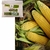 Imagem do Fertilizante Ureia 46%n Granulada 5Kg Adubo