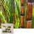 Fertilizante Ureia 46%n Granulada 5Kg Adubo - loja online