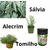 Fertilizante Cloreto De Cálcio 27%ca 3kg - comprar online