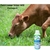 Ureia Liquida Nitrogenio SUPER N30 20L GALÃO N30 - Fertil Shop