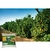 Imagem do Fertilizante Proteção Solar Agrícola - 6kg
