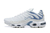 Air Max Plus TN1 "Ashen Slate"