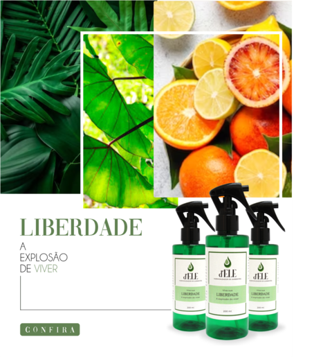 Carrossel 1