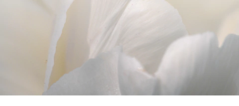 Carrusel FLORES DE LUNA