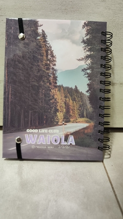 DIARIO DE VIAJE en internet