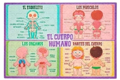 CUERPO HUMANO - Rompecabezas - - comprar online