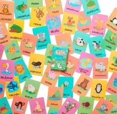 ANIMALES DEL MUNDO - Cartas Didácticas en internet