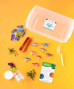 CAJA PARA EXPLORADORES - MUNDO DINO
